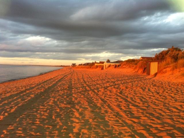 Award Winning Beach Front Retreat Frankston Eksteriør billede